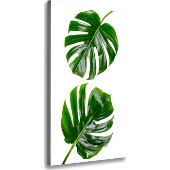 Obraz Vertikální Vertikální Foto obraz na plátně do obýváku Monstera
