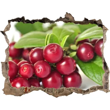 Fototapeta Nálepka 3D díra na zeď Brusinka