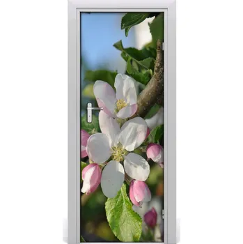 Fototapeta Samolepící fototapeta na dveře Květiny višně 75x205 cm