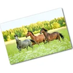 Kuchyňská deska skleněná Koně ve cvalu