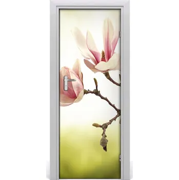 Fototapeta Fototapeta samolepící květy magnolie 75x205 cm