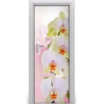 Fototapeta Samolepící fototapeta na dveře Bílá orchidej 75x205 cm