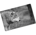 Kuchyňská deska skleněná Šedý vlk