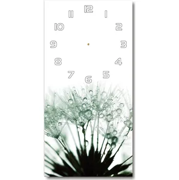 Hodiny Nástěnné hodiny Semena pampelišky