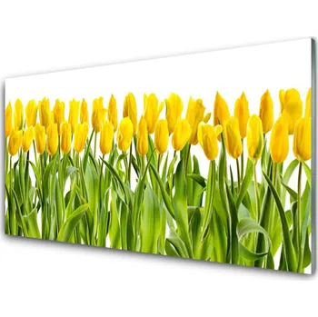 Obraz Obraz na skle Tulipány Květiny Příroda 100x50 cm 4 Přívěsky