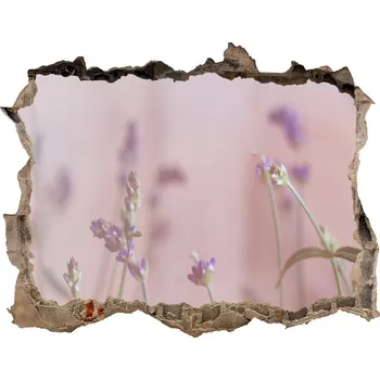 Fototapeta Samolepící díra na stěnu nálepka Levandule