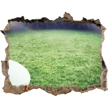 Fototapeta Foto fotografie díra na zeď Míč ragby