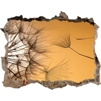 Fototapeta Samolepící nálepka fototapeta Pampeliška