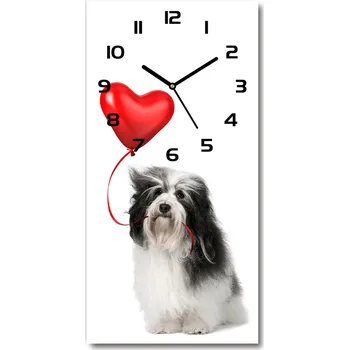 Hodiny Nástěnné hodiny Havanec s balonem