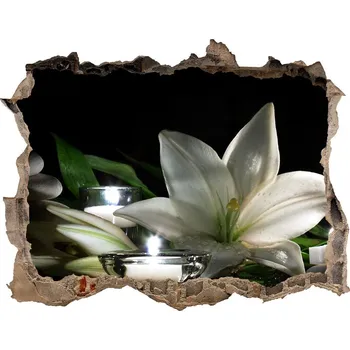 Fototapeta Samolepící díra nálepka Bílá lilie