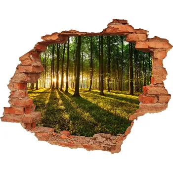 Fototapeta Díra 3D ve zdi nálepka Sluneční paprsky