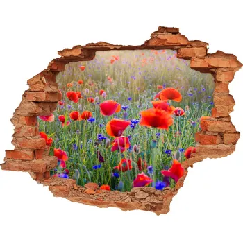 Fototapeta Samolepící díra na stěnu Polní květiny