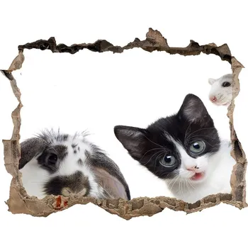 Fototapeta Díra 3D fototapeta nálepka Domácí zvířata