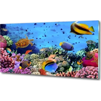 Obraz Fotoobraz na skle Korálový útes