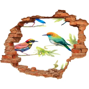 Fototapeta Díra 3D fototapeta na stěnu Egzotičtí ptáci