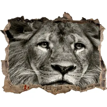Fototapeta Díra 3D fototapeta nálepka Lev