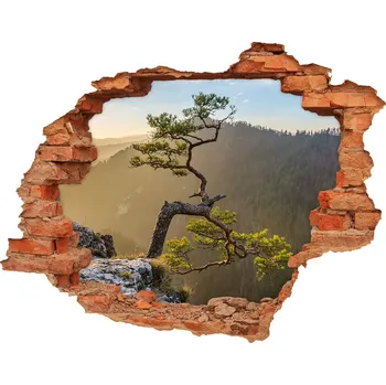 Fototapeta Nálepka fototapeta 3D výhled Sokolice Pieniny