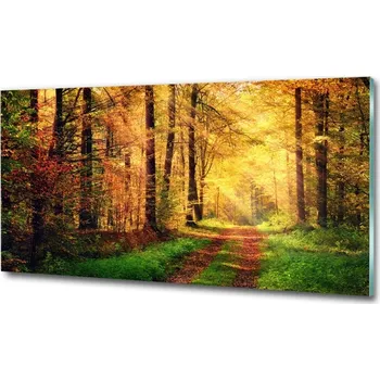 Obraz Fotoobraz na skle Podzimní les
