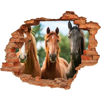 Fototapeta Díra 3D fototapeta na stěnu Tři koně