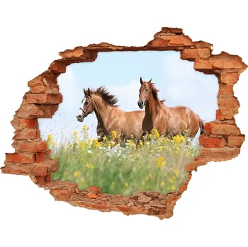 Fototapeta Díra 3D fototapeta Dva koně ve cvalu