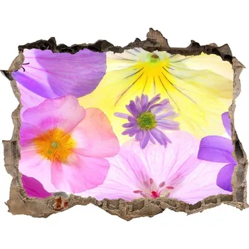 Fototapeta Samolepící nálepka fototapeta Macešky