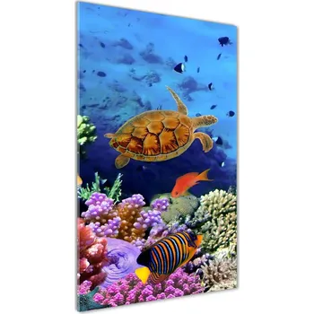 Obraz Vertikální Foto obraz sklo tvrzené Korálový útes