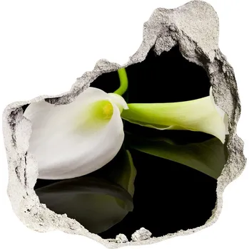 Fototapeta Samolepící nálepka fototapeta Kálie