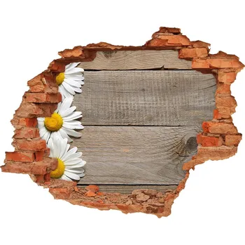 Fototapeta Samolepící díra nálepka Sedmikrásky dřevo