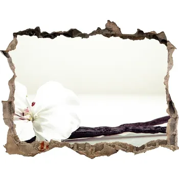 Fototapeta Samolepící díra nálepka Vanilka