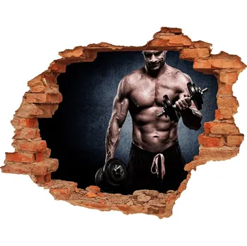 Fototapeta Foto fotografie díra na zeď Svaly