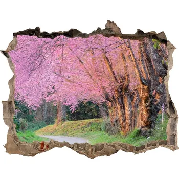 Fototapeta Nálepka fototapeta 3D výhled Květy višně