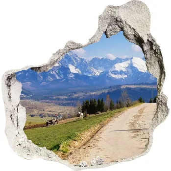 Fototapeta Samolepící nálepka beton Panorama Tatry