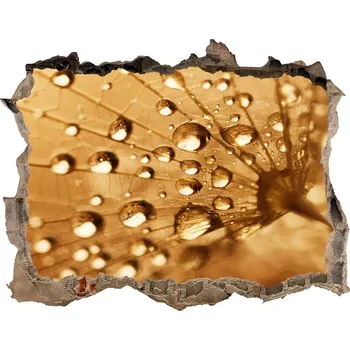 Fototapeta Samolepící nálepka fototapeta Pampeliška