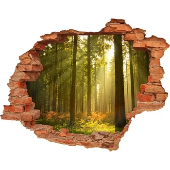 Fototapeta Díra 3D ve zdi nálepka Les slunce