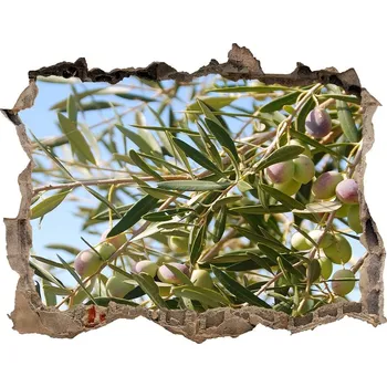 Fototapeta Samolepící díra nálepka Olivovník