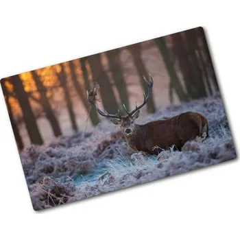 Kuchyňské prkénko Kuchyňská deska skleněná Jelen východ slunce