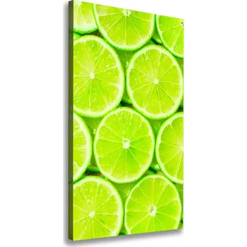 Obraz Vertikální Moderní obraz canvas na rámu Limetka