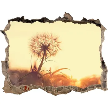 Fototapeta Samolepící díra na stěnu Pampeliška