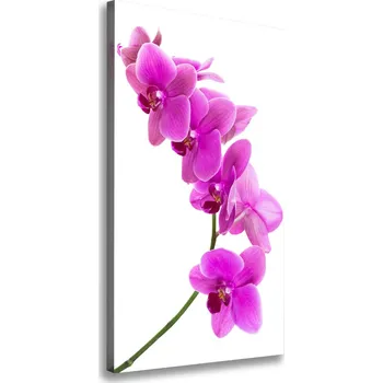 Obraz Vertikální Foto obraz na plátně Růžová orchidej