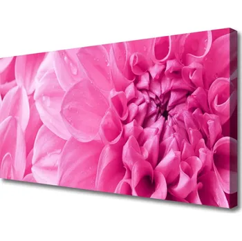 Obraz Obraz na plátně Květiny Rostlina Příroda 120x60 cm