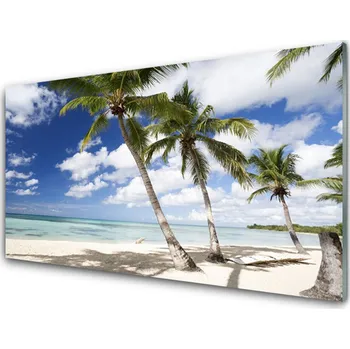 Obraz Obraz na skle Moře Pláž Palma Krajina 125x50 cm 2 Přívěsky