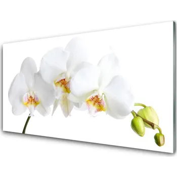 Obraz Obraz na skle Květiny Rostlina Příroda 125x50 cm 2 Přívěsky