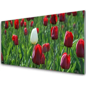 Obraz Obraz na skle Tulipány Květiny Příroda 140x70 cm 4 Přívěsky