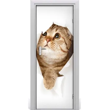 Fototapeta Samolepící fototapeta na dveře Kočka 75x205 cm