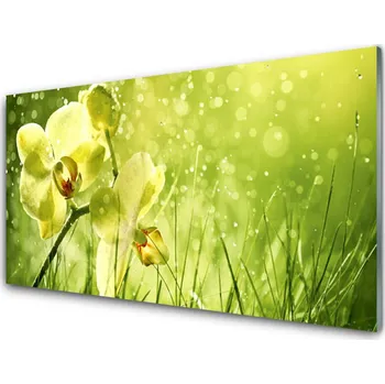 Obraz Obraz na skle Tráva Příroda Rostlina 140x70 cm 2 Přívěsky