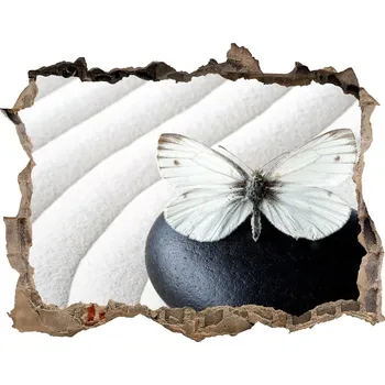 Fototapeta Díra 3D fototapeta nálepka Kámen zen a motýl