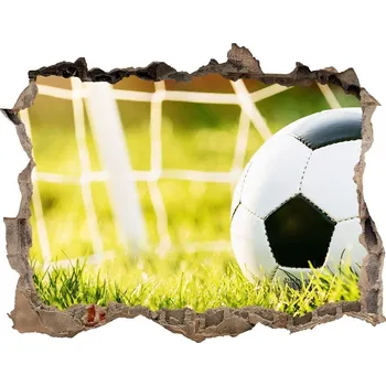 Fototapeta Fototapeta díra na zeď 3D Míč v brance
