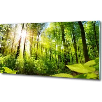 Obraz Foto obraz sklo tvrzené Les slunce