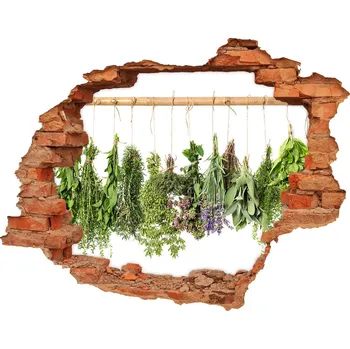 Fototapeta Samolepící nálepka Bylinky na provázku