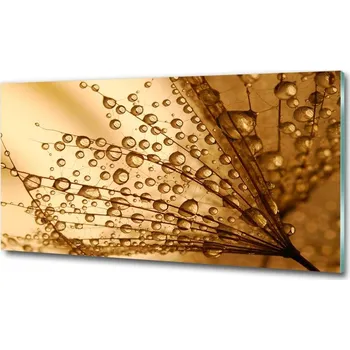 Obraz Fotoobraz na skle Semeno pampelišky